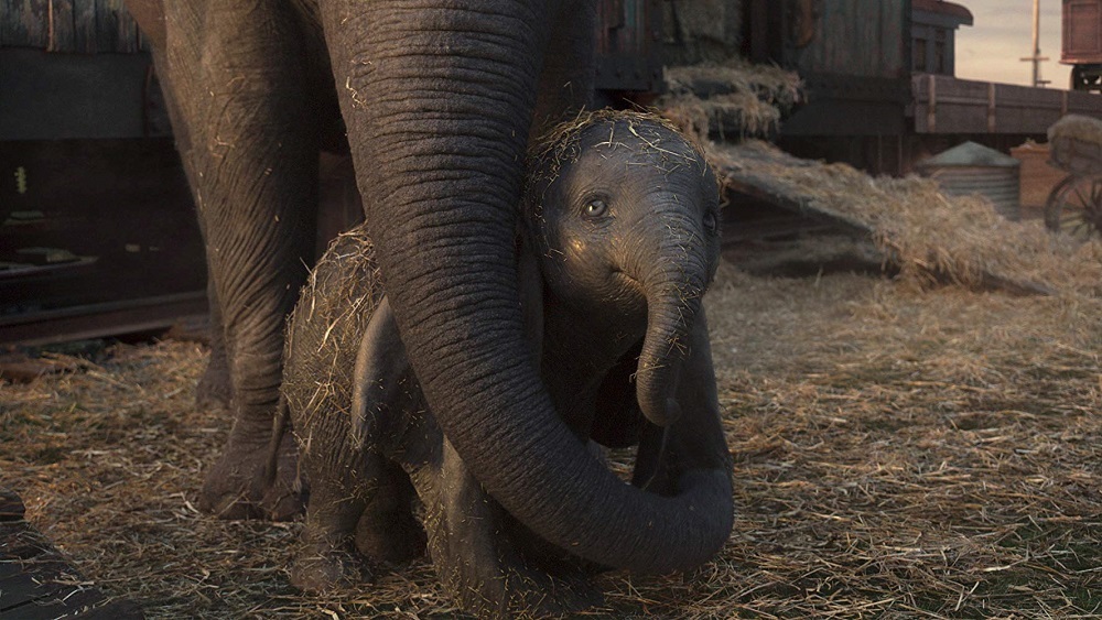 نمایی از  فیلم سینمایی «دامبو» (dumbo)